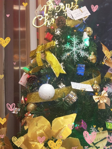 �������ʥ���ڣ��⽨������Я������ҽ����Ա��������һƬͯ��!